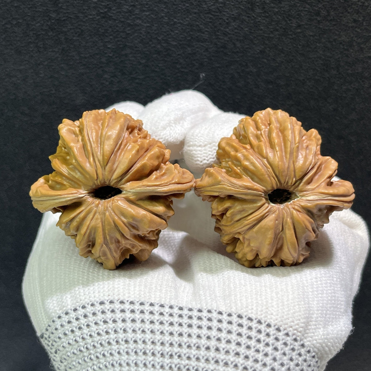 The "Si Zuo Lou" Lion's Head Pair | 42.0mm x 41.0mm | SZL-405 - ThePatinaProject