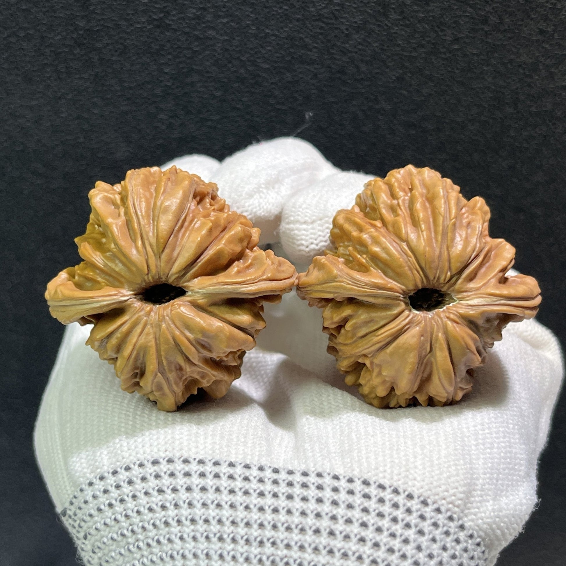 The "Si Zuo Lou" Lion's Head Pair | 42.0mm x 41.0mm | SZL-405 - ThePatinaProject