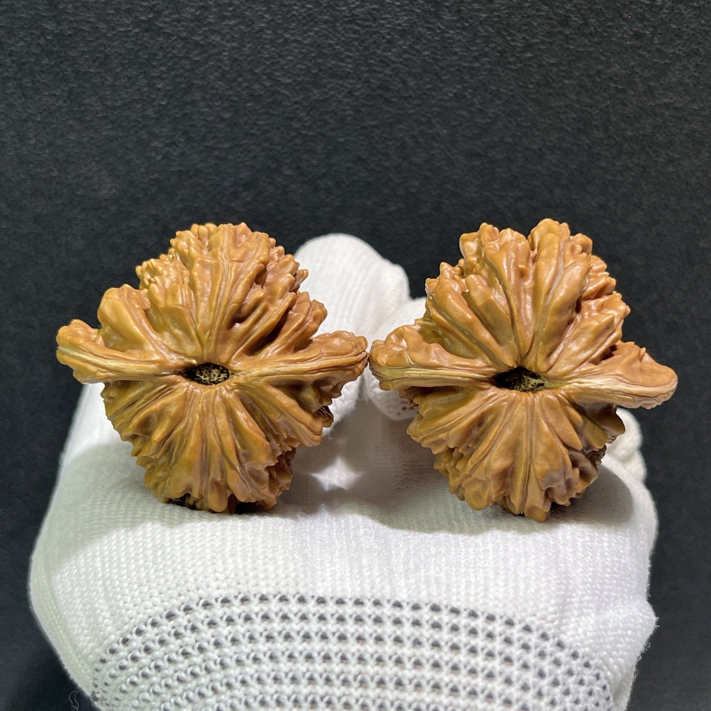 The "Si Zuo Lou" Lion's Head Pair | 43.0mm x 40.0mm | SZL-406 - ThePatinaProject