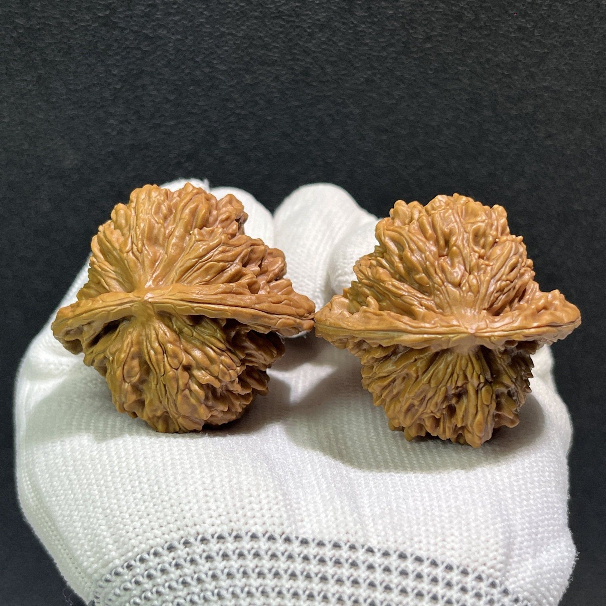The "Si Zuo Lou" Lion's Head Pair | 43.0mm x 40.0mm | SZL-406 - ThePatinaProject