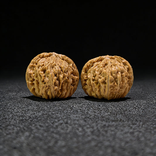 The "Si Zuo Lou" Lion's Head Pair | 43.0mm x 40.0mm | SZL-514 - ThePatinaProject