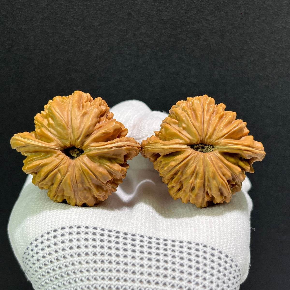 The "Si Zuo Lou" Lion's Head Pair | 43.0mm x 40.0mm | SZL-514 - ThePatinaProject