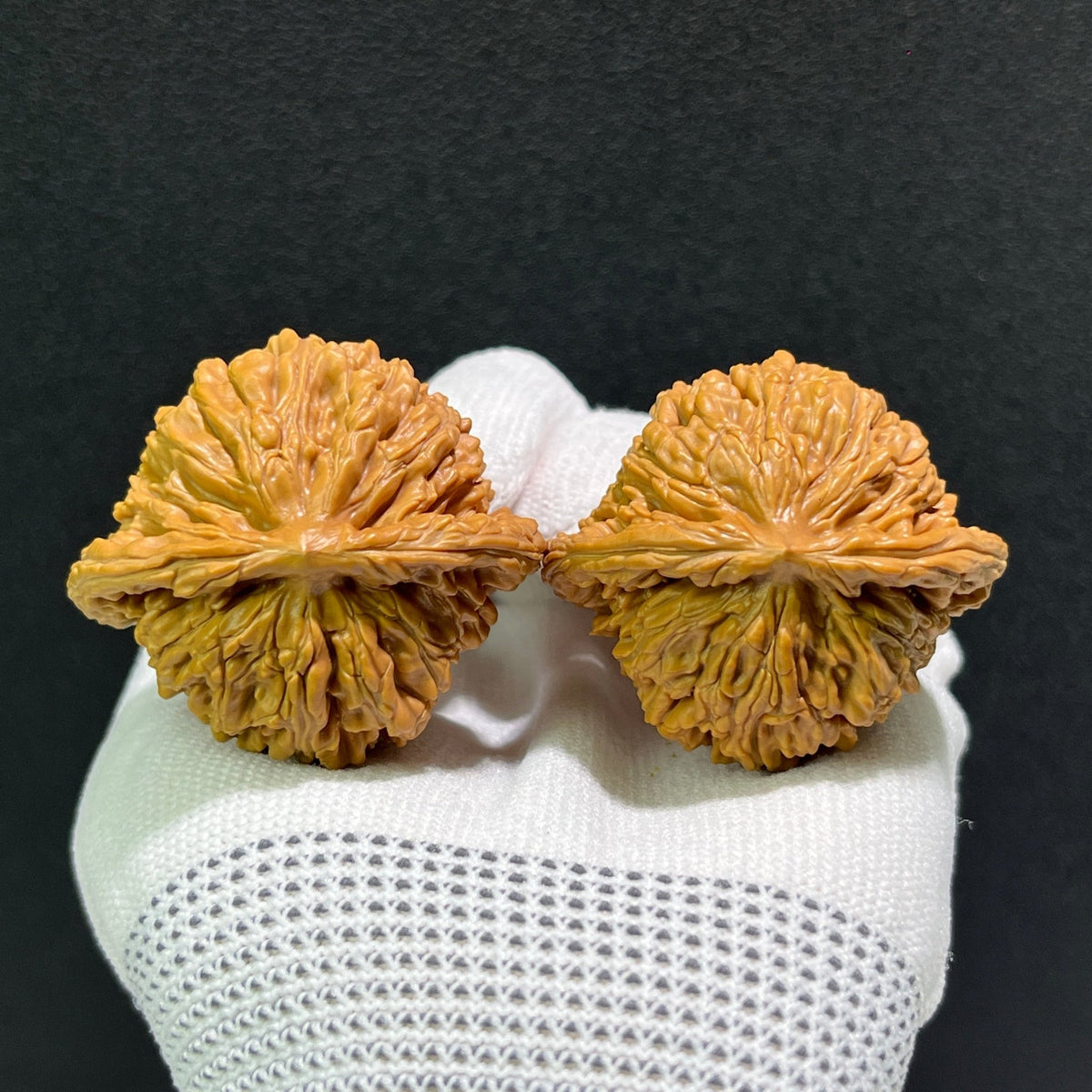 The "Si Zuo Lou" Lion's Head Pair | 43.0mm x 40.0mm | SZL-514 - ThePatinaProject
