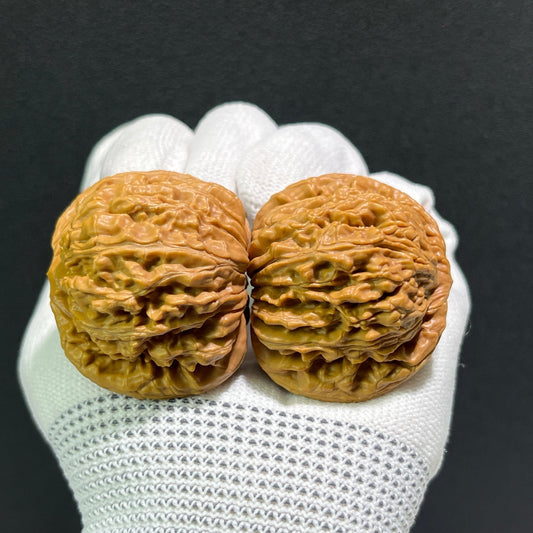 The "Si Zuo Lou" Lion's Head Pair | 43.0mm x 40.0mm | SZL-514 - ThePatinaProject