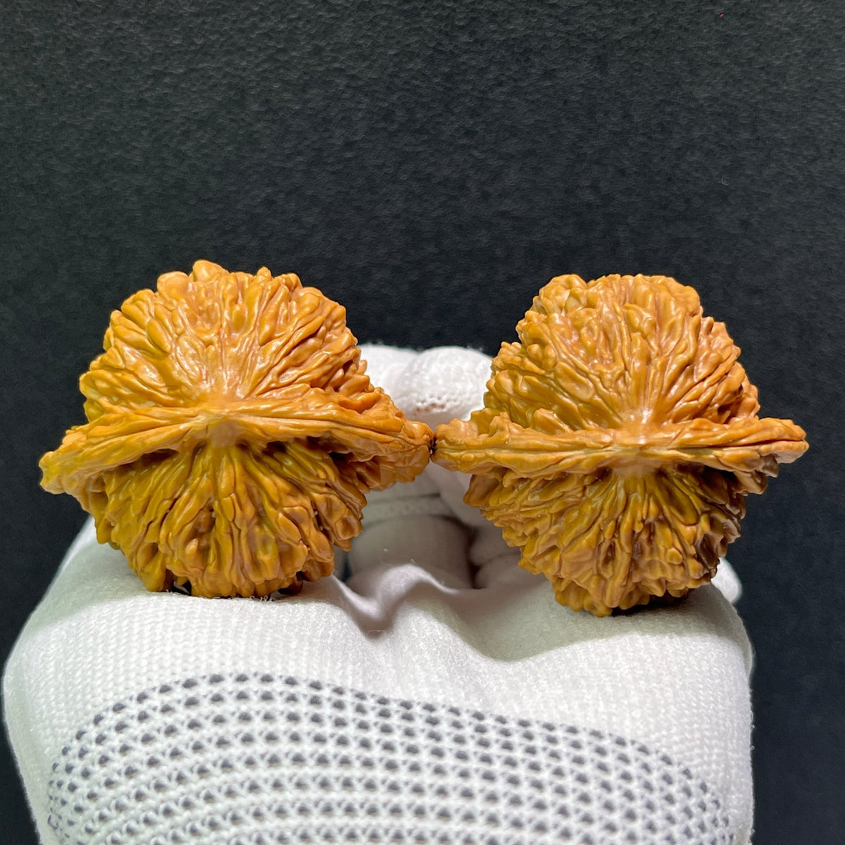 The "Si Zuo Lou" Lion's Head Pair | 43.0mm x 40.0mm | SZL-605 - ThePatinaProject