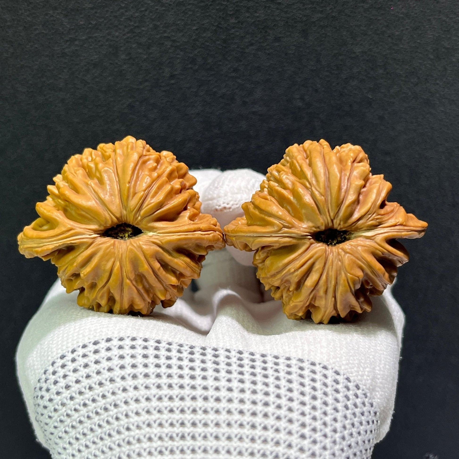The "Si Zuo Lou" Lion's Head Pair | 43.0mm x 40.0mm | SZL-605 - ThePatinaProject