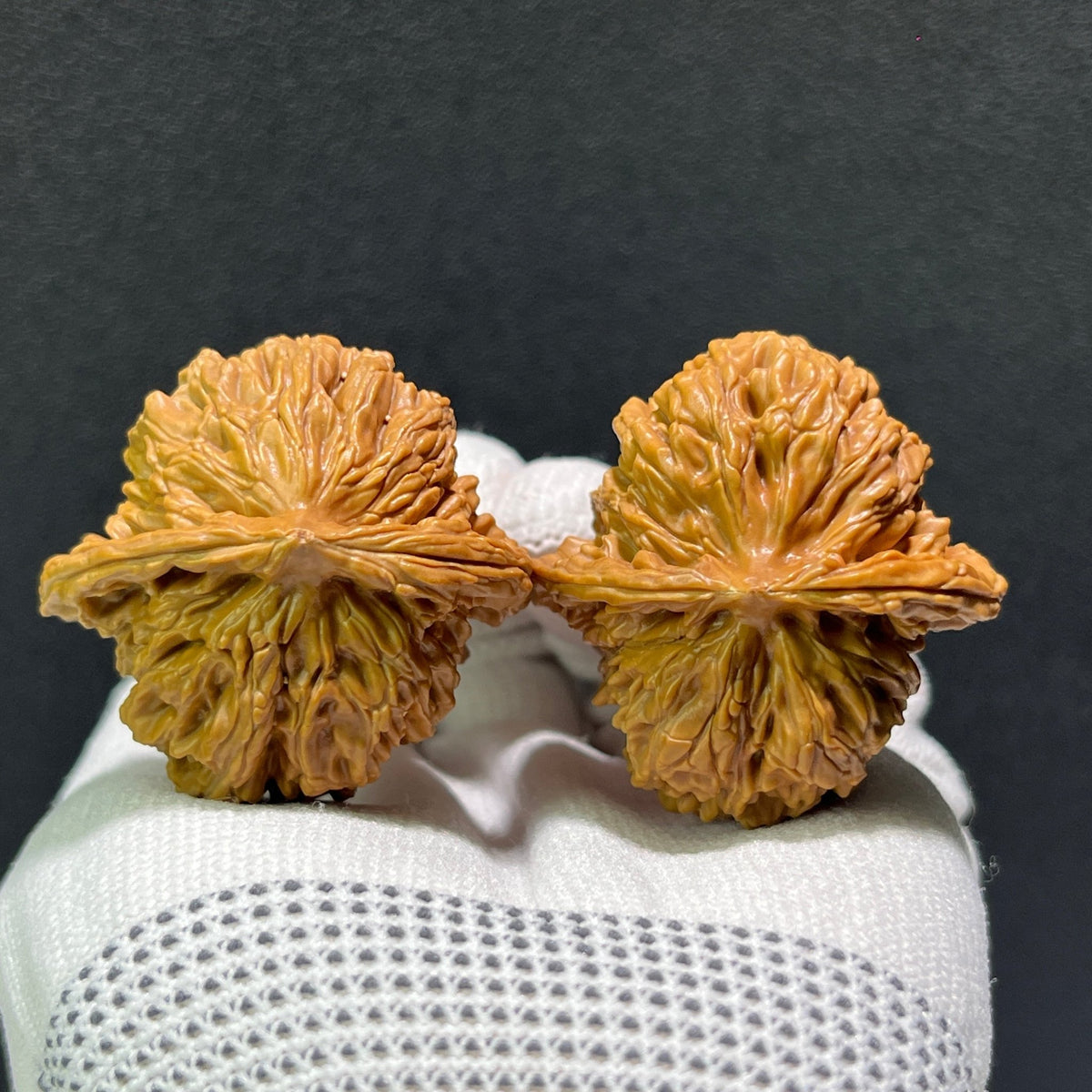 The "Si Zuo Lou" Lion's Head Perfectly Balanced 1:1 Pair | 40.0mm x 40.0mm | SZL-603 - ThePatinaProject