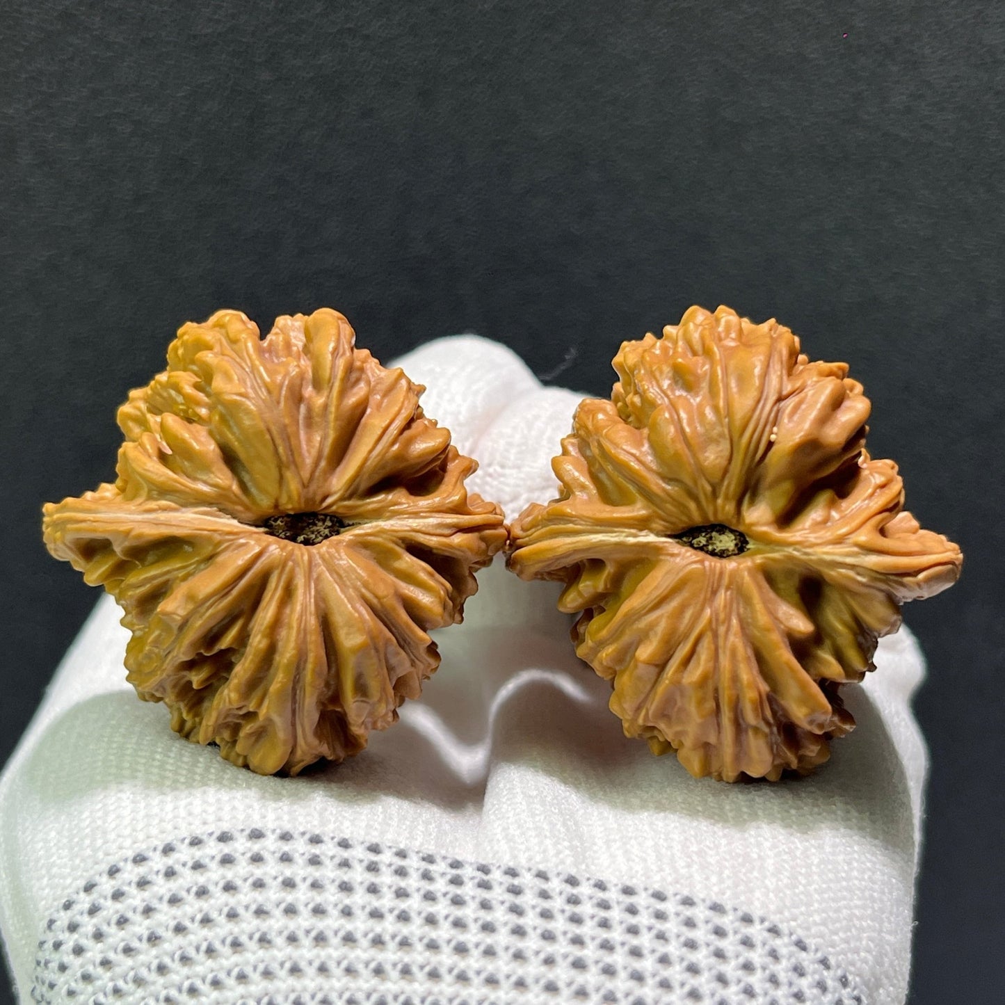 The "Si Zuo Lou" Lion's Head Perfectly Balanced 1:1 Pair | 40.0mm x 40.0mm | SZL-603 - ThePatinaProject