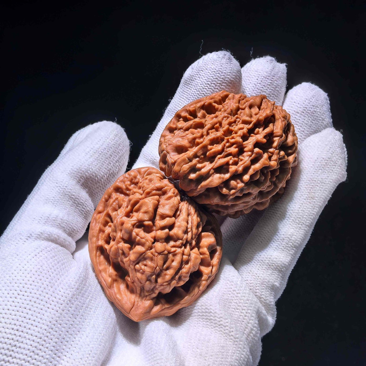 The Singularities | Collector-Grade "Guanmao Snake" (GMS) Pair | 40.0mm x 34.0mm | GMS-1201E - ThePatinaProject