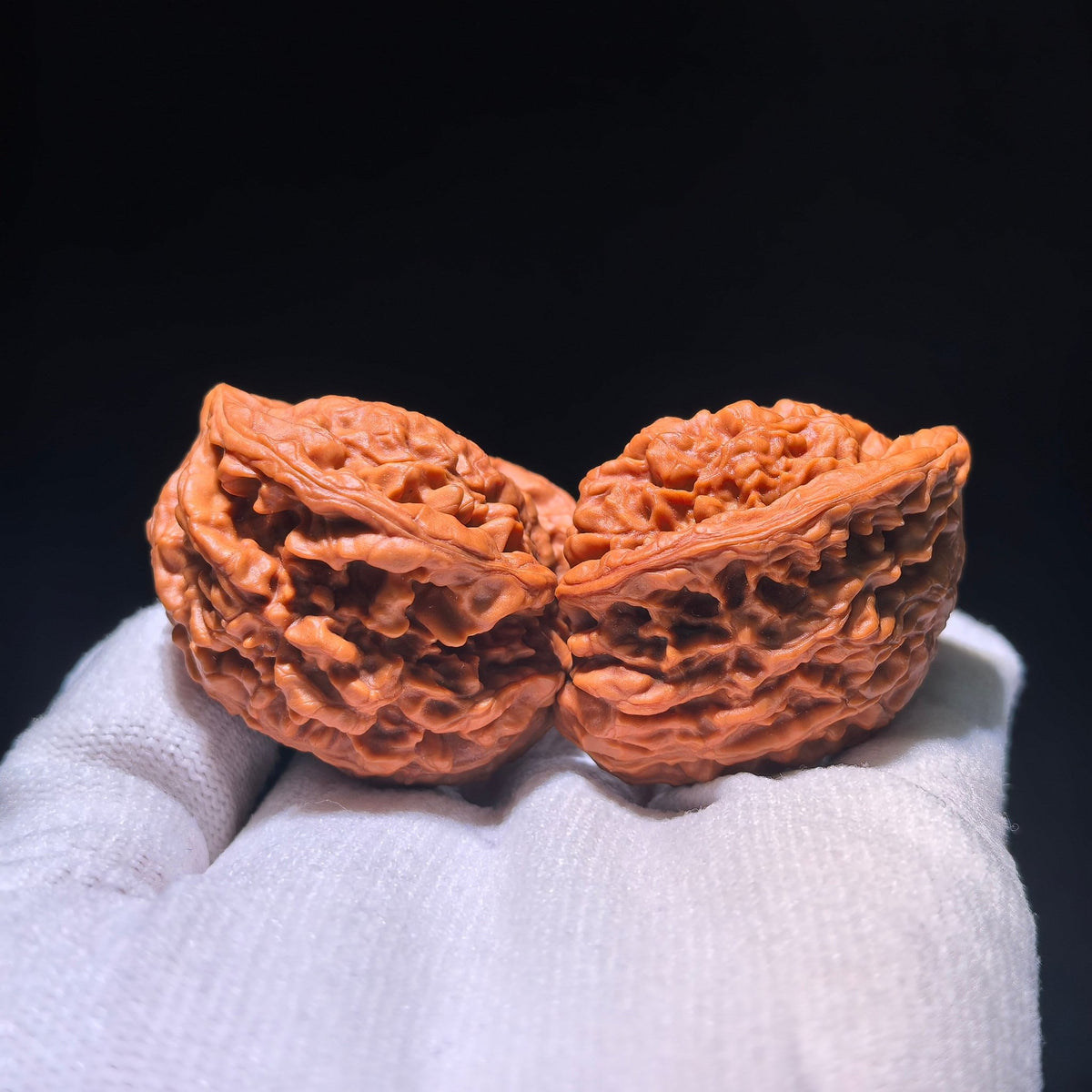 The Singularities | Collector-Grade "Guanmao Snake" (GMS) Pair | 40.0mm x 34.0mm | GMS-1201E - ThePatinaProject