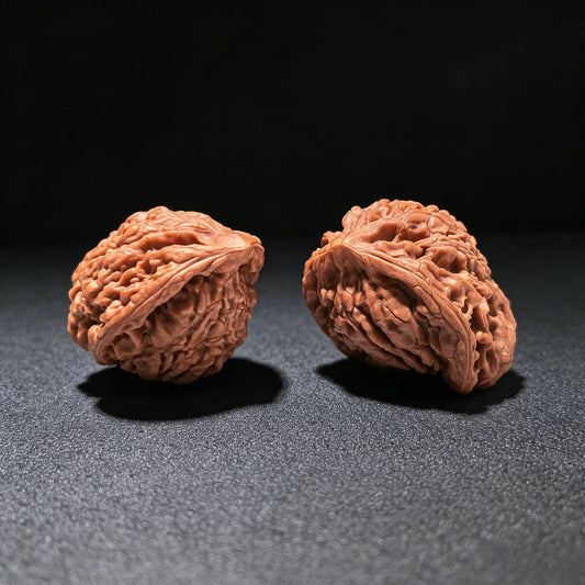 The Singularities | Collector-Grade "Guanmao Snake" (GMS) Pair | 40.0mm x 34.0mm | GMS-1201E - ThePatinaProject