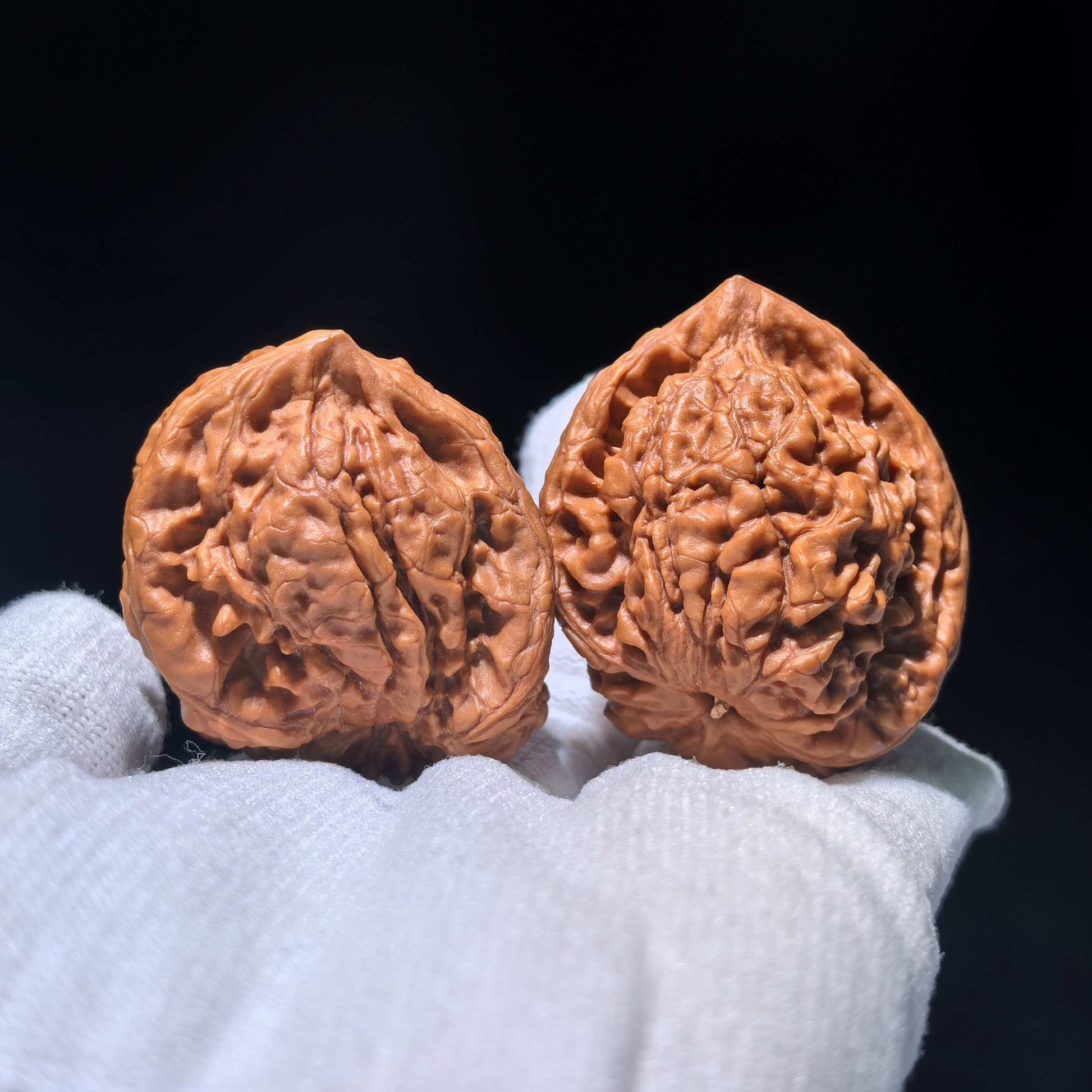The Singularities | Collector-Grade "Guanmao Snake" (GMS) Pair | 40.0mm x 34.0mm | GMS-1201E - ThePatinaProject