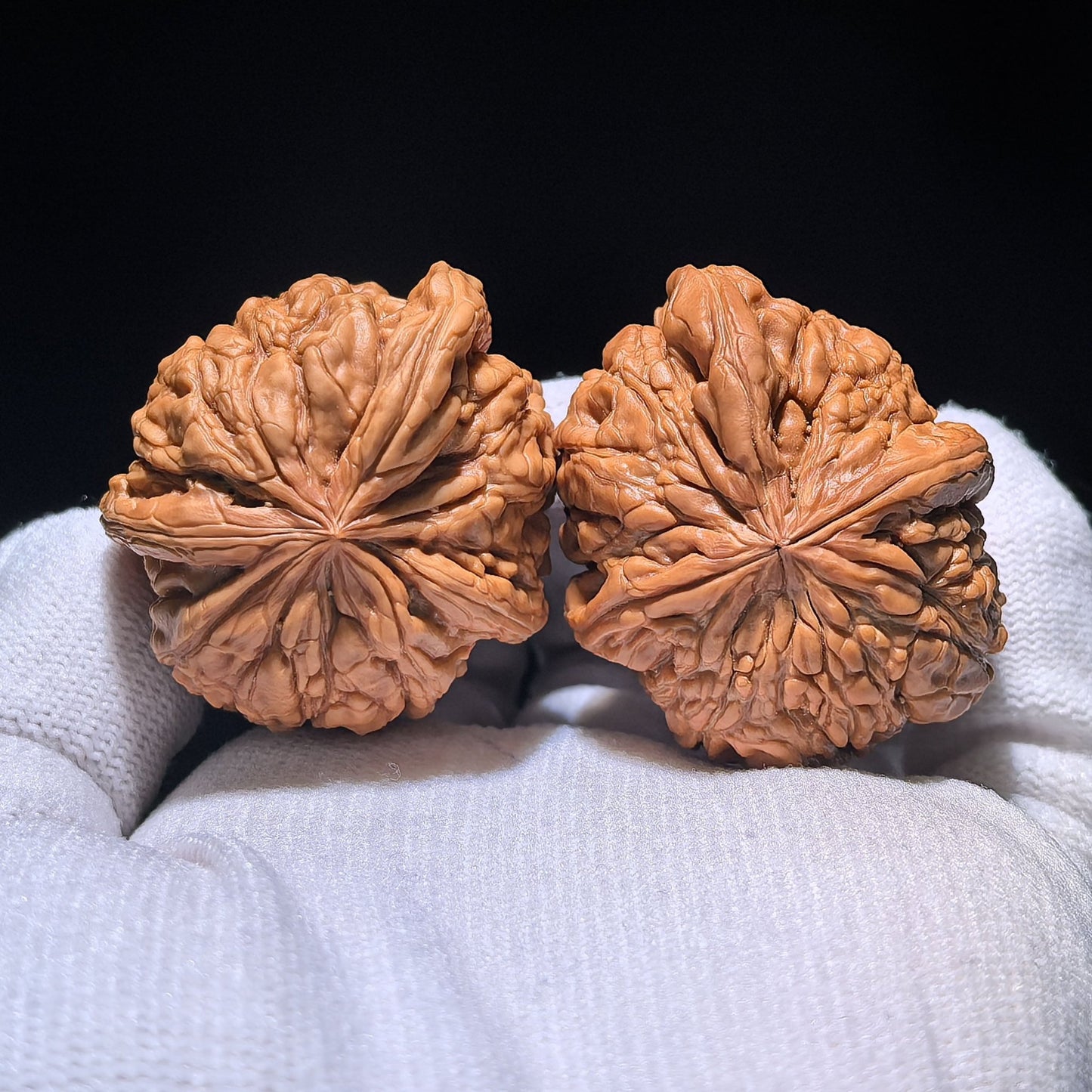 The Singularities | Collector-Grade "Men Dun" Trident Three-Ridge Pair | 36.0mm x 42.0mm | MDSN-1201E - ThePatinaProject
