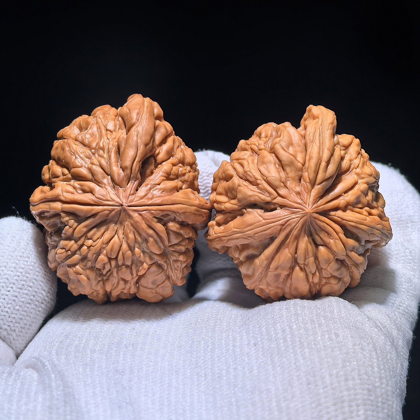 The Singularities | Collector-Grade "Men Dun" Trident Three-Ridge Pair | 36.0mm x 42.0mm | MDSN-1201E - ThePatinaProject