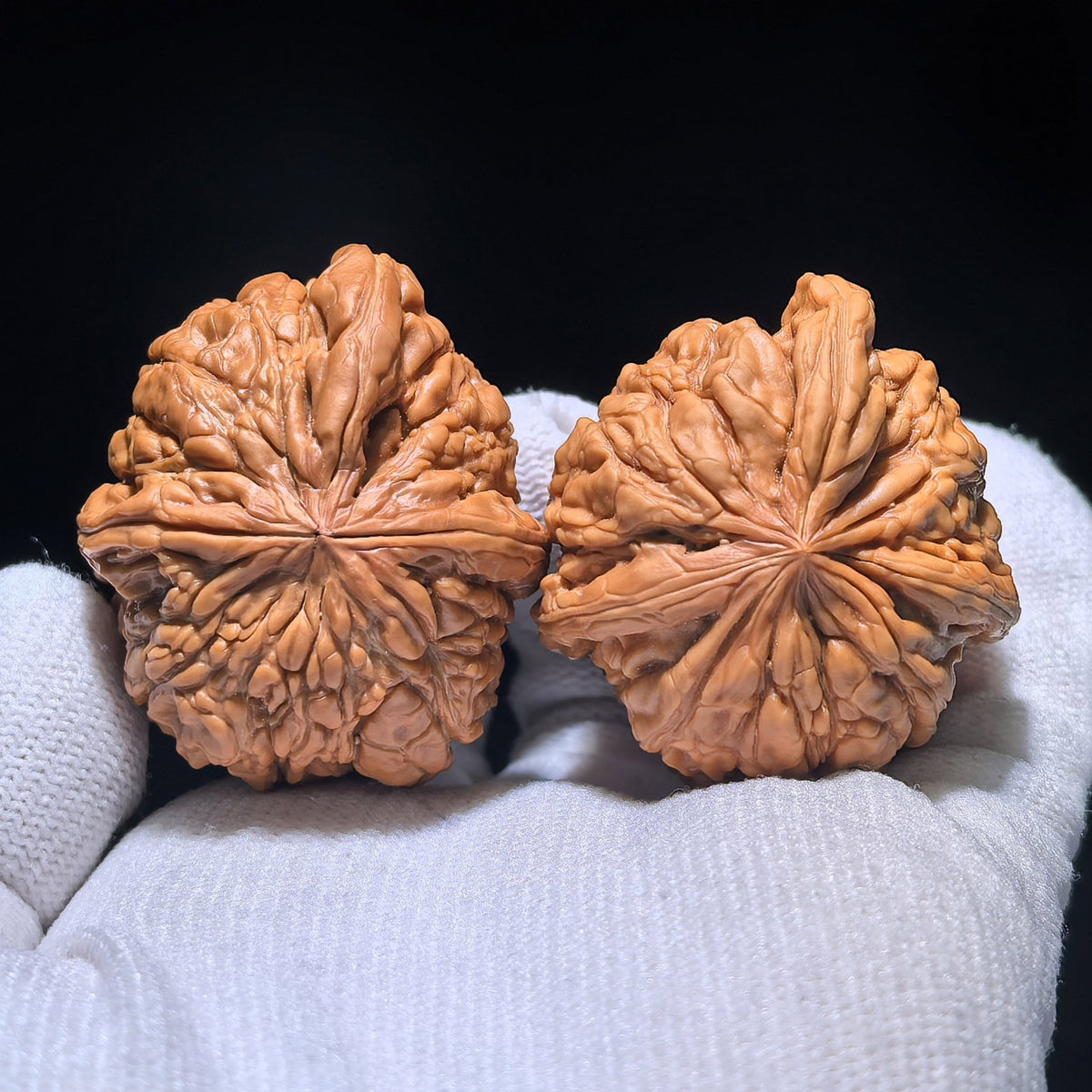 The Singularities | Collector-Grade "Men Dun" Trident Three-Ridge Pair | 36.0mm x 42.0mm | MDSN-1201E - ThePatinaProject