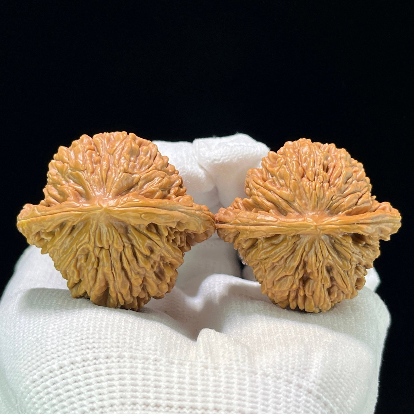 The "Sizuolou" (SZL) Classic Four-Tower Lion Head Pair | 43.0mm x 40.0mm | SZL-808 - ThePatinaProject