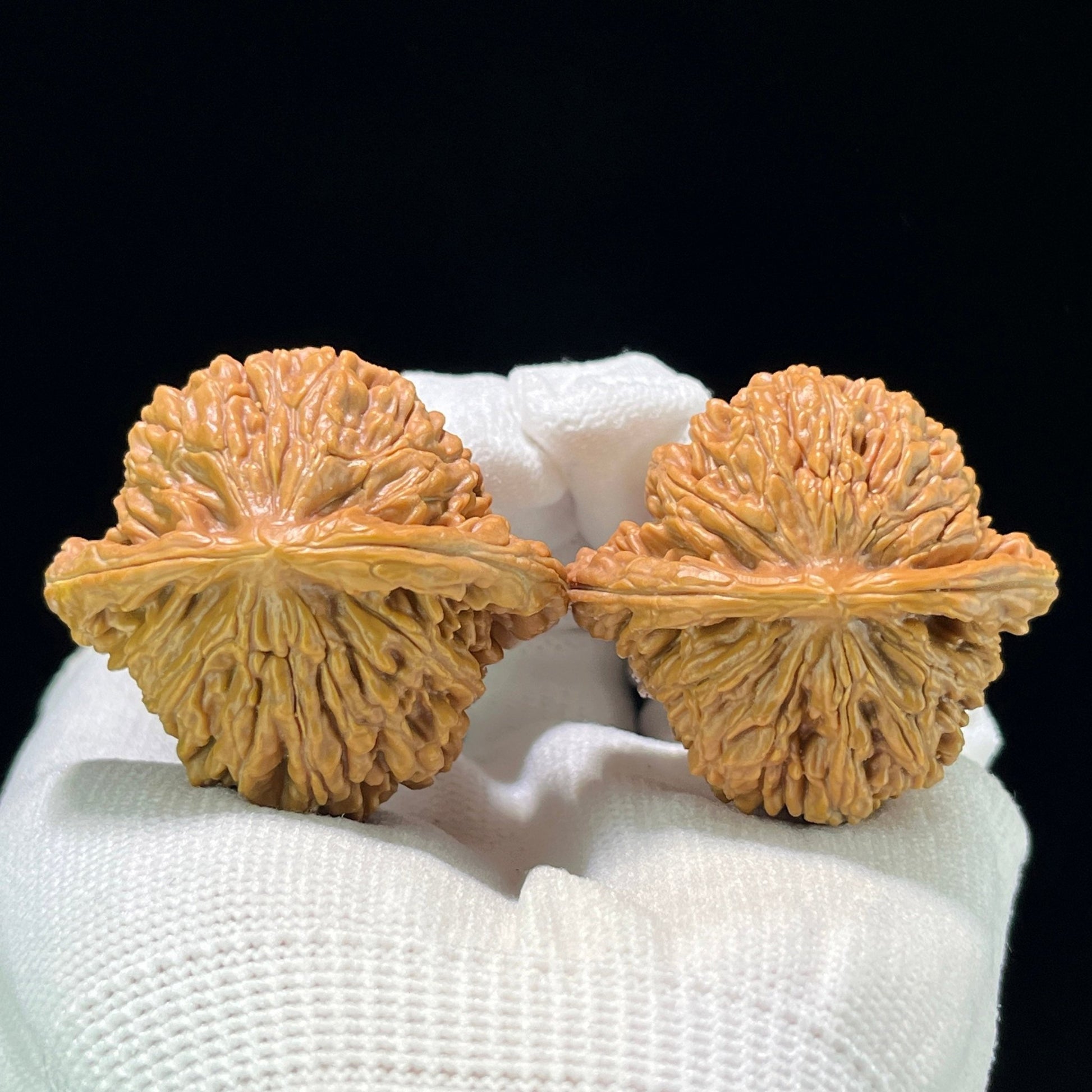 The "Sizuolou" (SZL) Classic Four-Tower Lion Head Pair | 43.0mm x 40.0mm | SZL-808 - ThePatinaProject