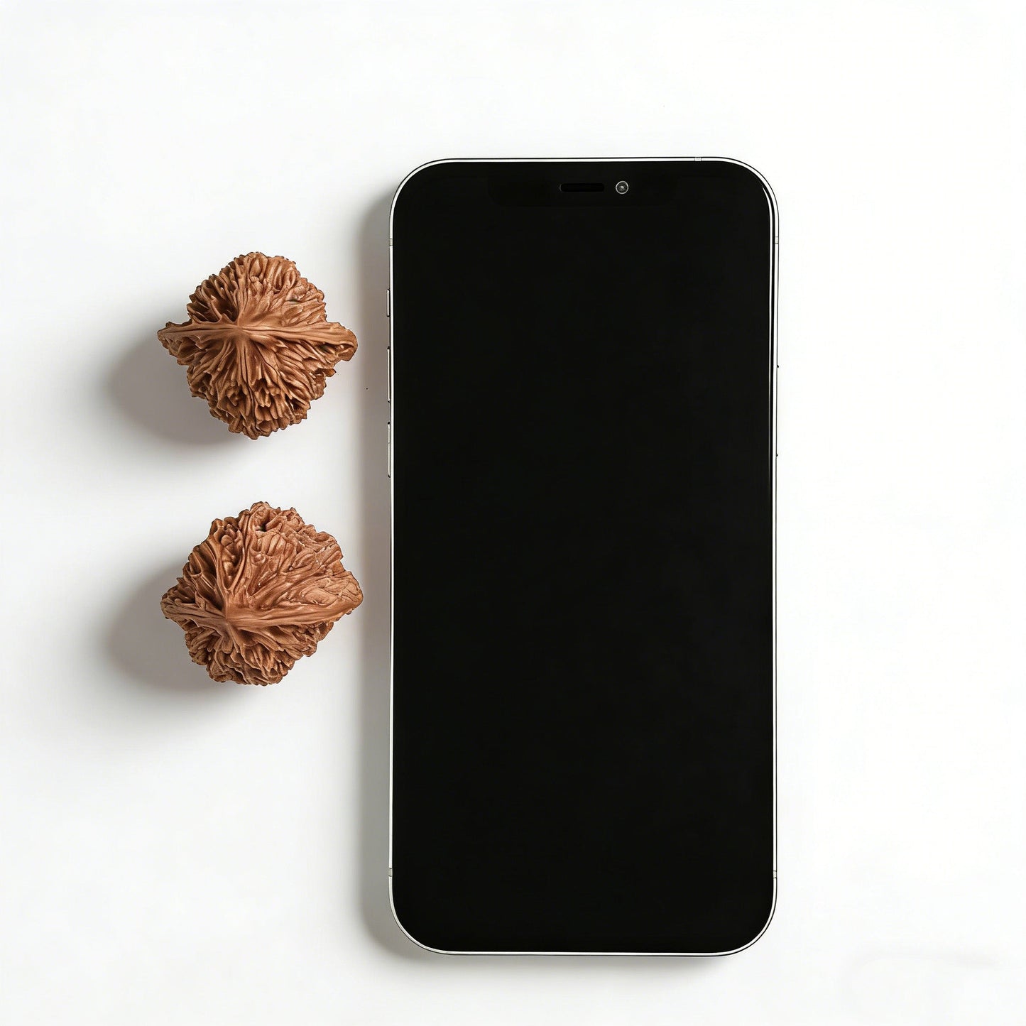 The "Small Beijing Chicken Heart" (Beijing Xiao Jixin) Pair | 35.0mm | BBJX-103 - ThePatinaProject
