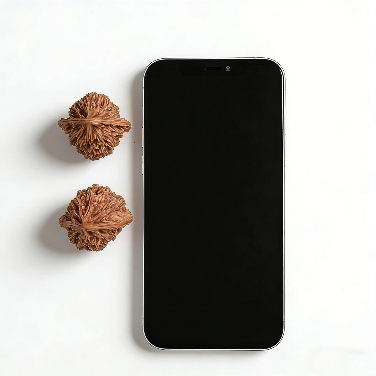 The "Small Beijing Chicken Heart" (Beijing Xiao Jixin) Pair | 35.0mm | BBJX-103 - ThePatinaProject