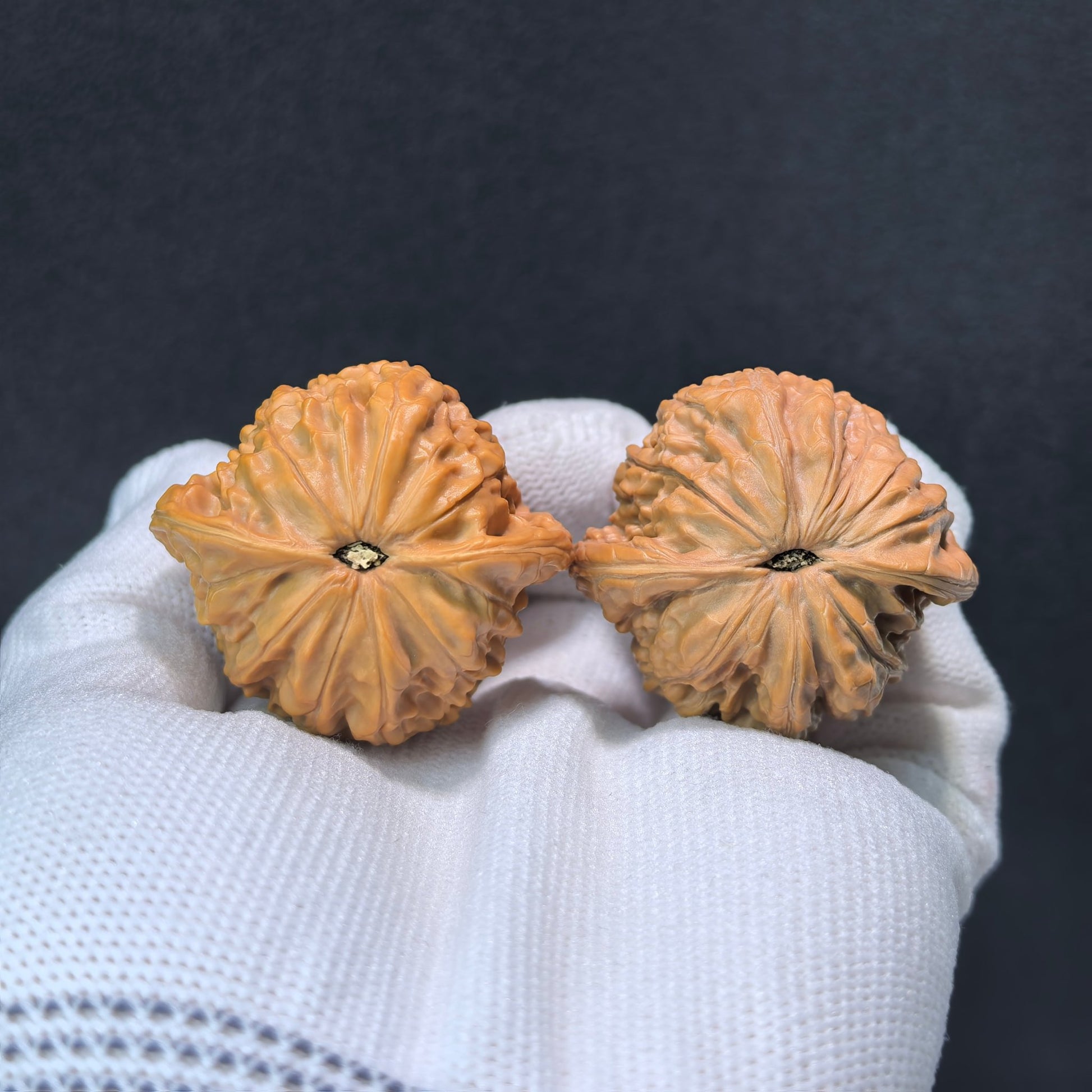 The "Small True Millstone" (Xiao Zheng Mo) Pair | 38.0mm x 30.0mm | MP-406 - ThePatinaProject