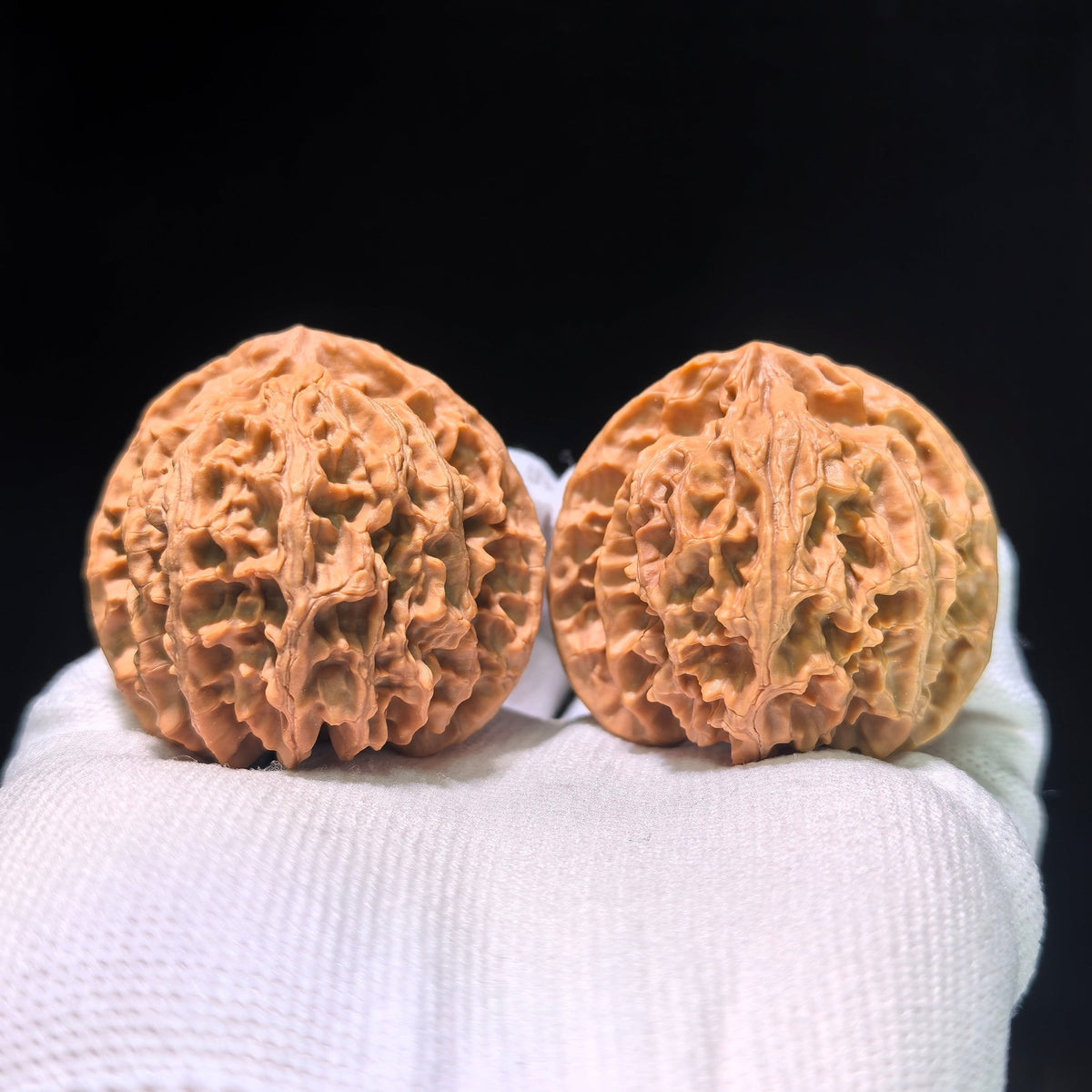 The Spectacular "Apple Orchard" Pingguoyuan Masterpiece | 45.0mm x 41.0mm | PGY-1201C - ThePatinaProject