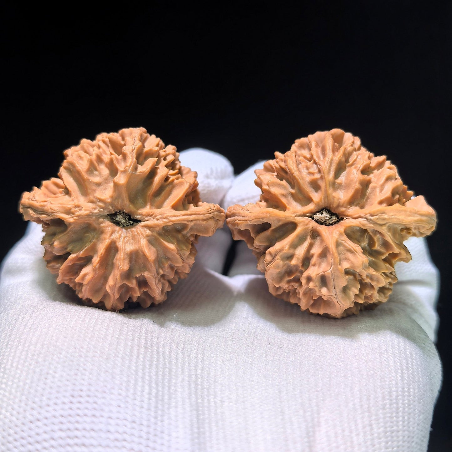 The Spectacular "Apple Orchard" Pingguoyuan Masterpiece | 45.0mm x 41.0mm | PGY-1201C - ThePatinaProject