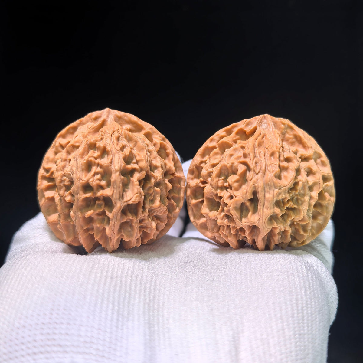 The Spectacular "Apple Orchard" Pingguoyuan Masterpiece | 45.0mm x 41.0mm | PGY-1201C - ThePatinaProject