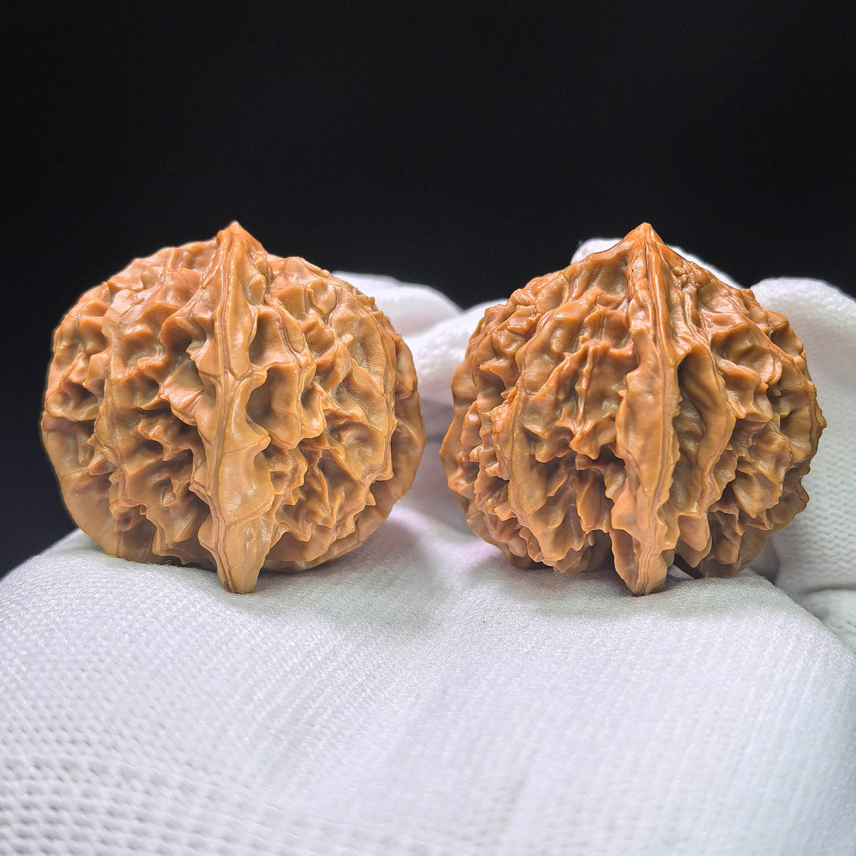 The Spectacular "Denglong Lantern" Lion Head Pocket Masterpiece | 40.0mm x 37.0mm | DL-1401 - ThePatinaProject