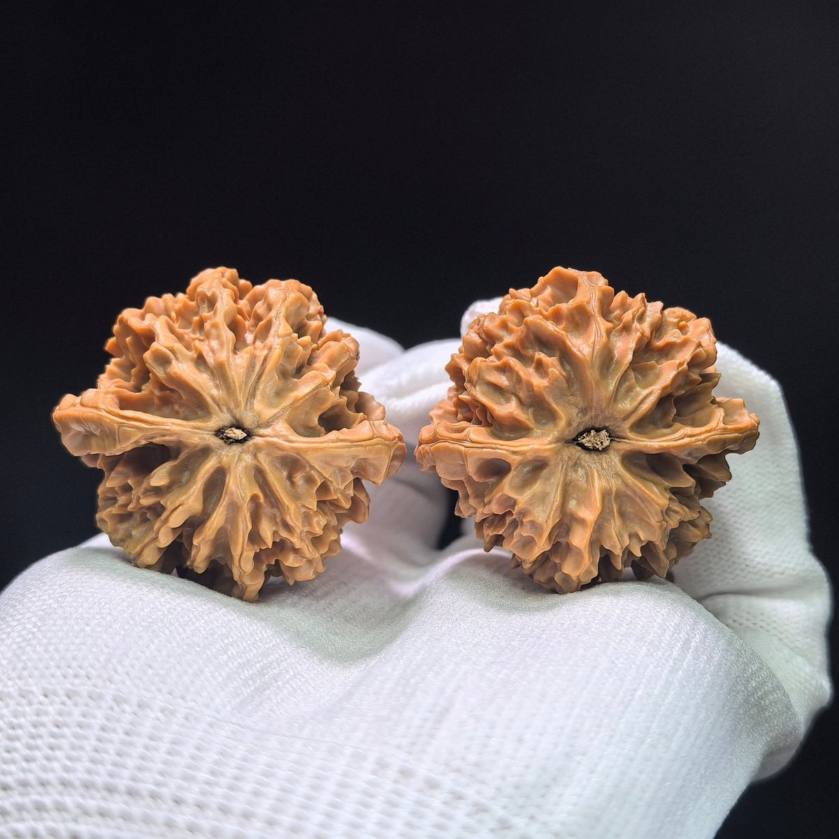 The Spectacular "Denglong Lantern" Lion Head Pocket Masterpiece | 40.0mm x 37.0mm | DL-1401 - ThePatinaProject