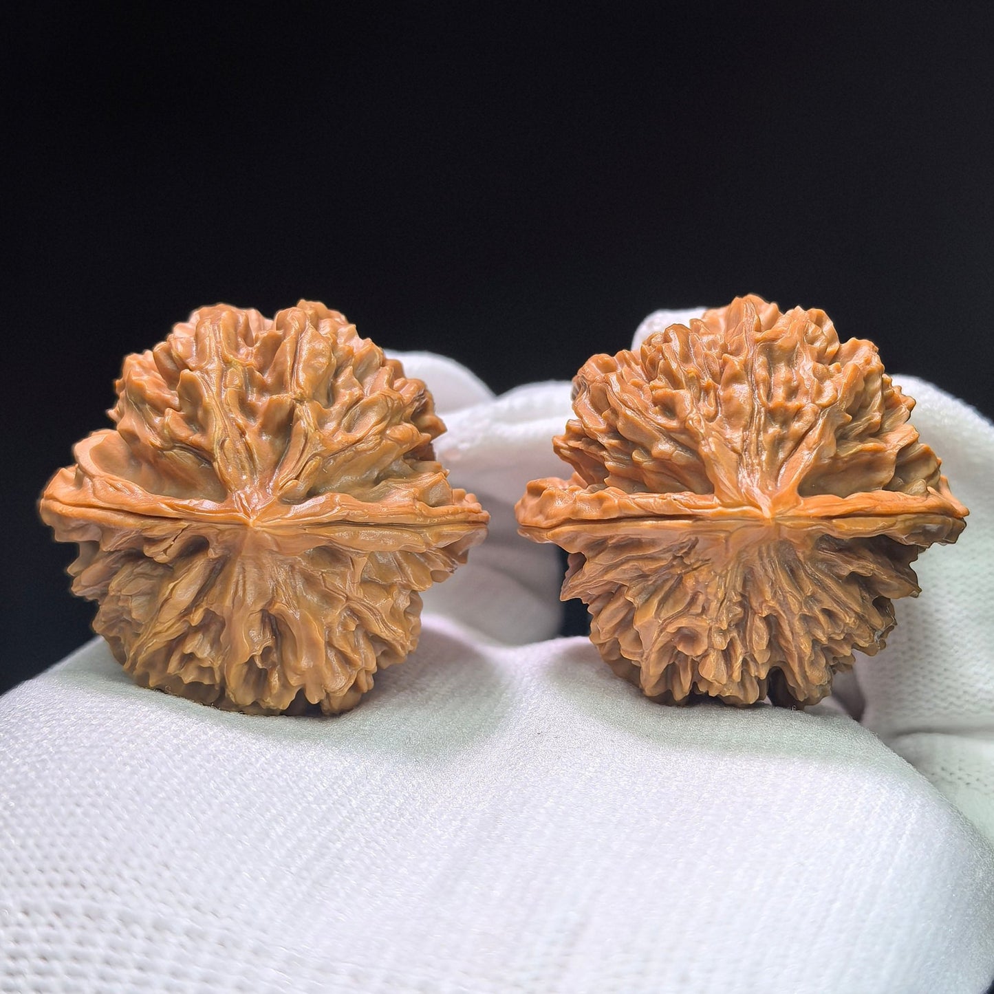 The Spectacular "Denglong Lantern" Lion Head Pocket Masterpiece | 40.0mm x 37.0mm | DL-1401 - ThePatinaProject