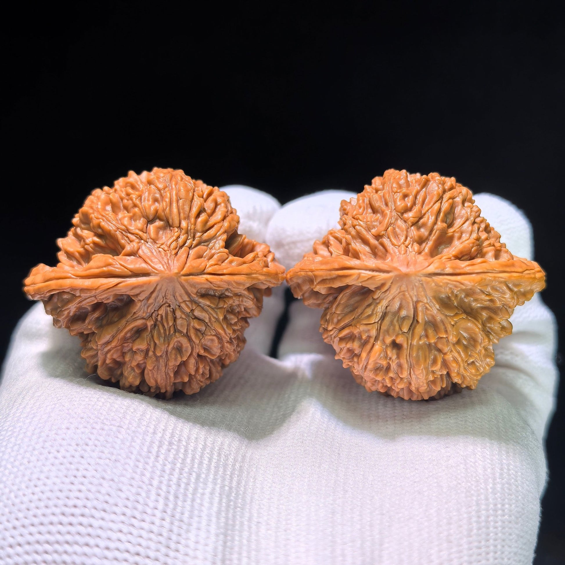 The Spectacular "Heart Center" Concave-Base Mantianxing Masterpiece | 43.0mm x 38.0mm | MTX-1201C - ThePatinaProject