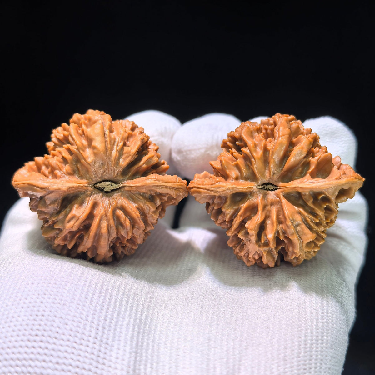The Spectacular "Heart Center" Concave-Base Mantianxing Masterpiece | 43.0mm x 38.0mm | MTX-1201C - ThePatinaProject