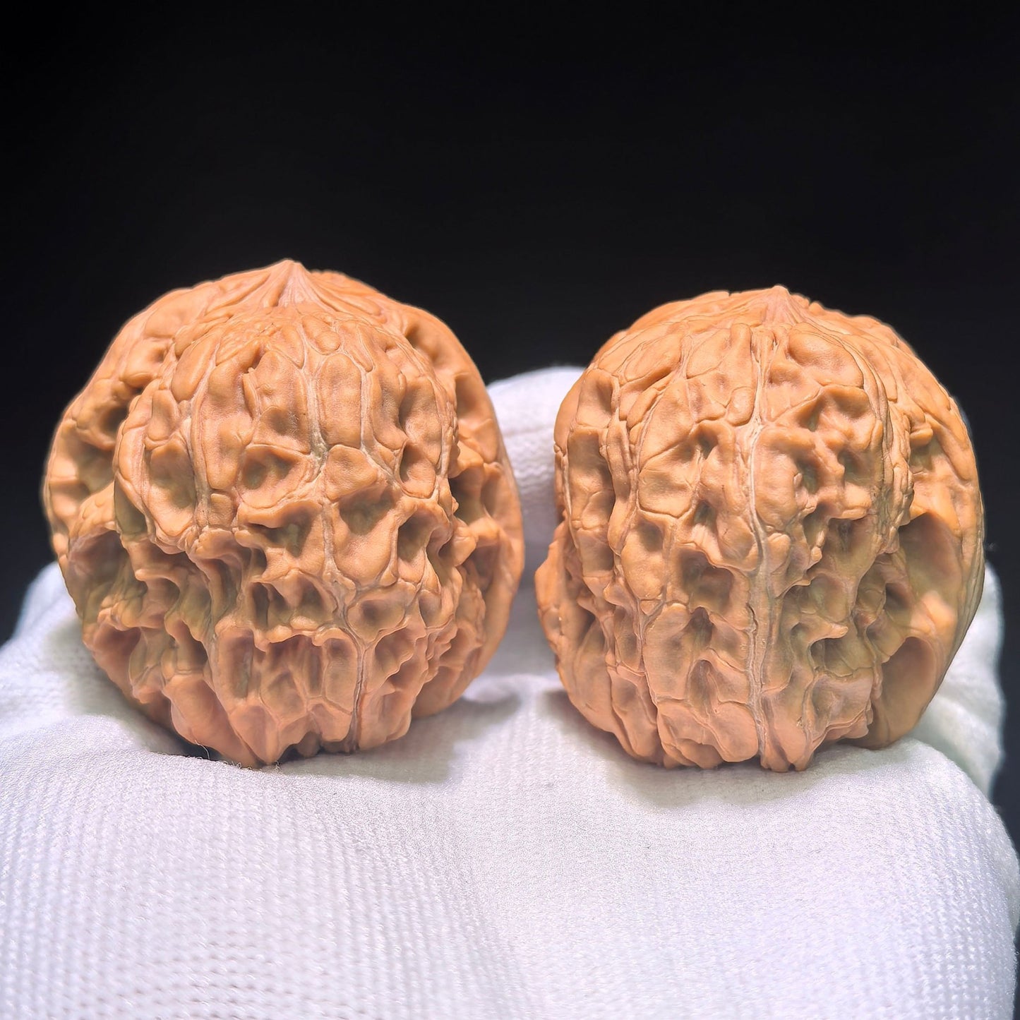 The Spectacular "Mendun Eagle Beak" Masterpiece | 42.0mm x 45.0mm | MD-1202C - ThePatinaProject