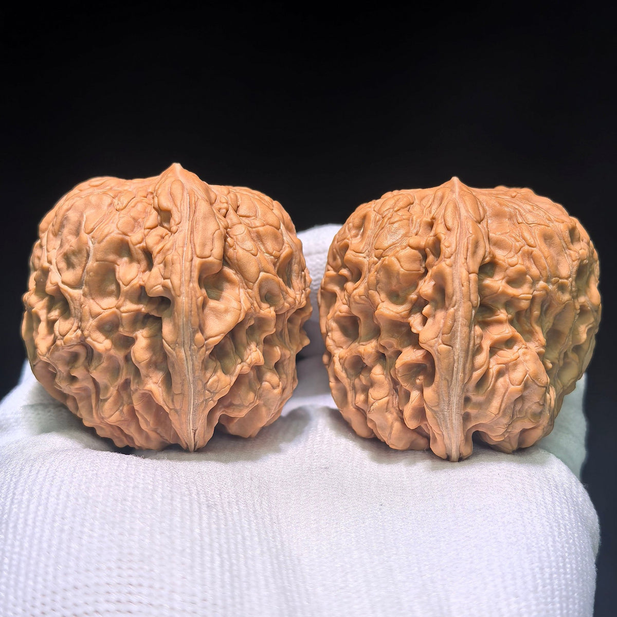 The Spectacular "Mendun Eagle Beak" Masterpiece | 42.0mm x 45.0mm | MD-1202C - ThePatinaProject