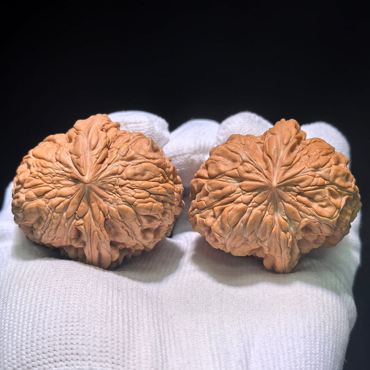The Spectacular "Mendun Eagle Beak" Masterpiece | 42.0mm x 45.0mm | MD-1202C - ThePatinaProject
