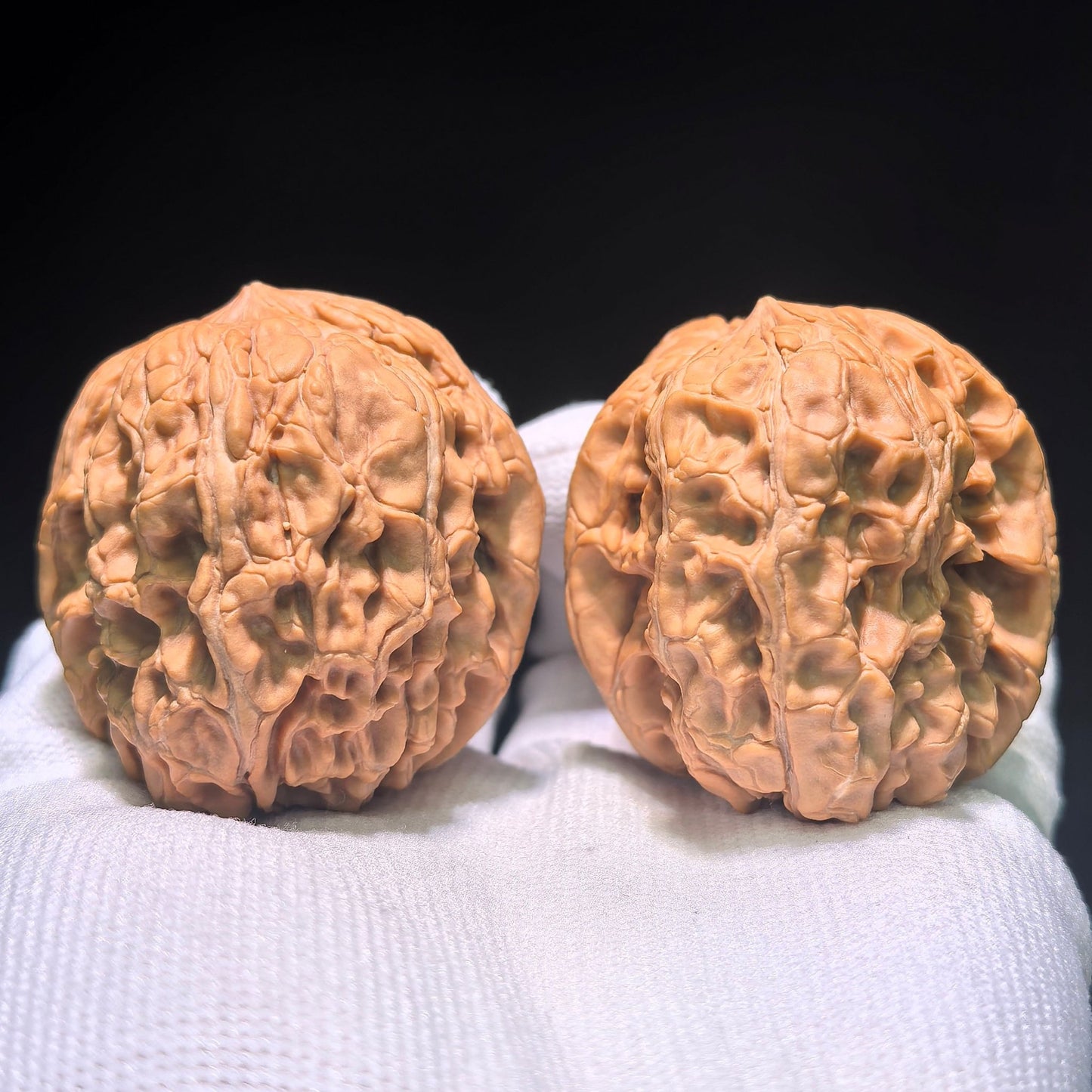 The Spectacular "Mendun Eagle Beak" Masterpiece | 42.0mm x 45.0mm | MD-1202C - ThePatinaProject