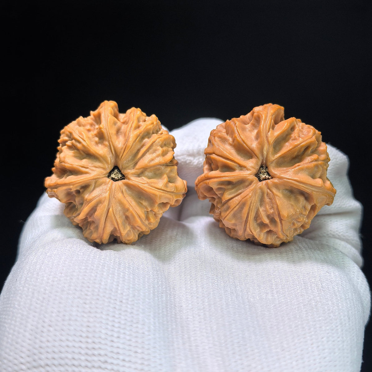 The Spectacular "Rain Flower Stone" Three-Ridge Yuhashan Masterpiece | 37.0mm x 38.0mm | YHSSN-1401E - ThePatinaProject