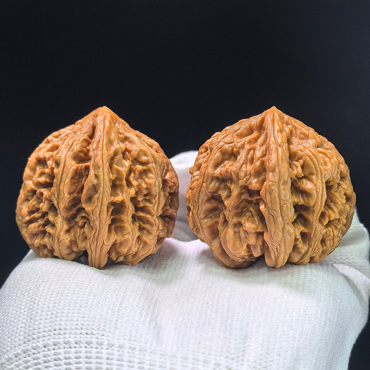 The Spectacular "Thick Ridge" Cujin Lion Head Masterpiece | 39.0mm x 42.0mm | CJ-1402 - ThePatinaProject