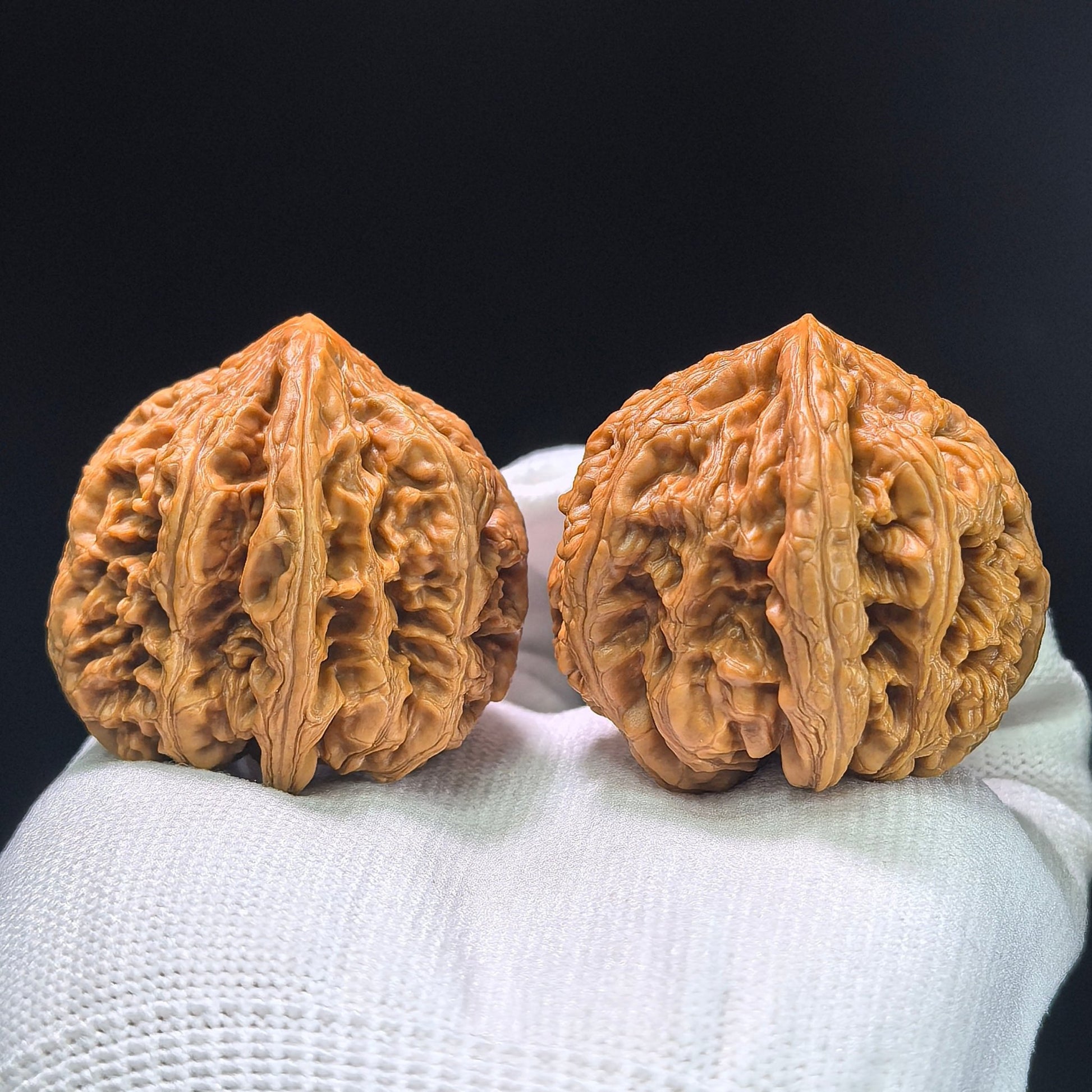 The Spectacular "Thick Ridge" Cujin Lion Head Masterpiece | 39.0mm x 42.0mm | CJ-1402 - ThePatinaProject