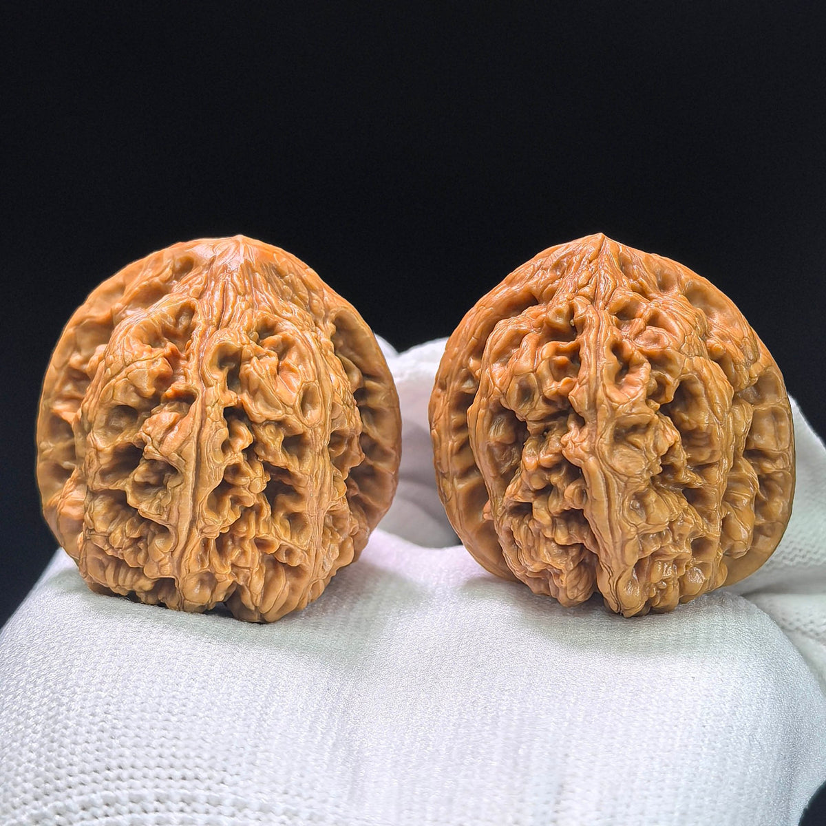 The Spectacular "Thick Ridge" Cujin Lion Head Masterpiece | 39.0mm x 42.0mm | CJ-1402 - ThePatinaProject