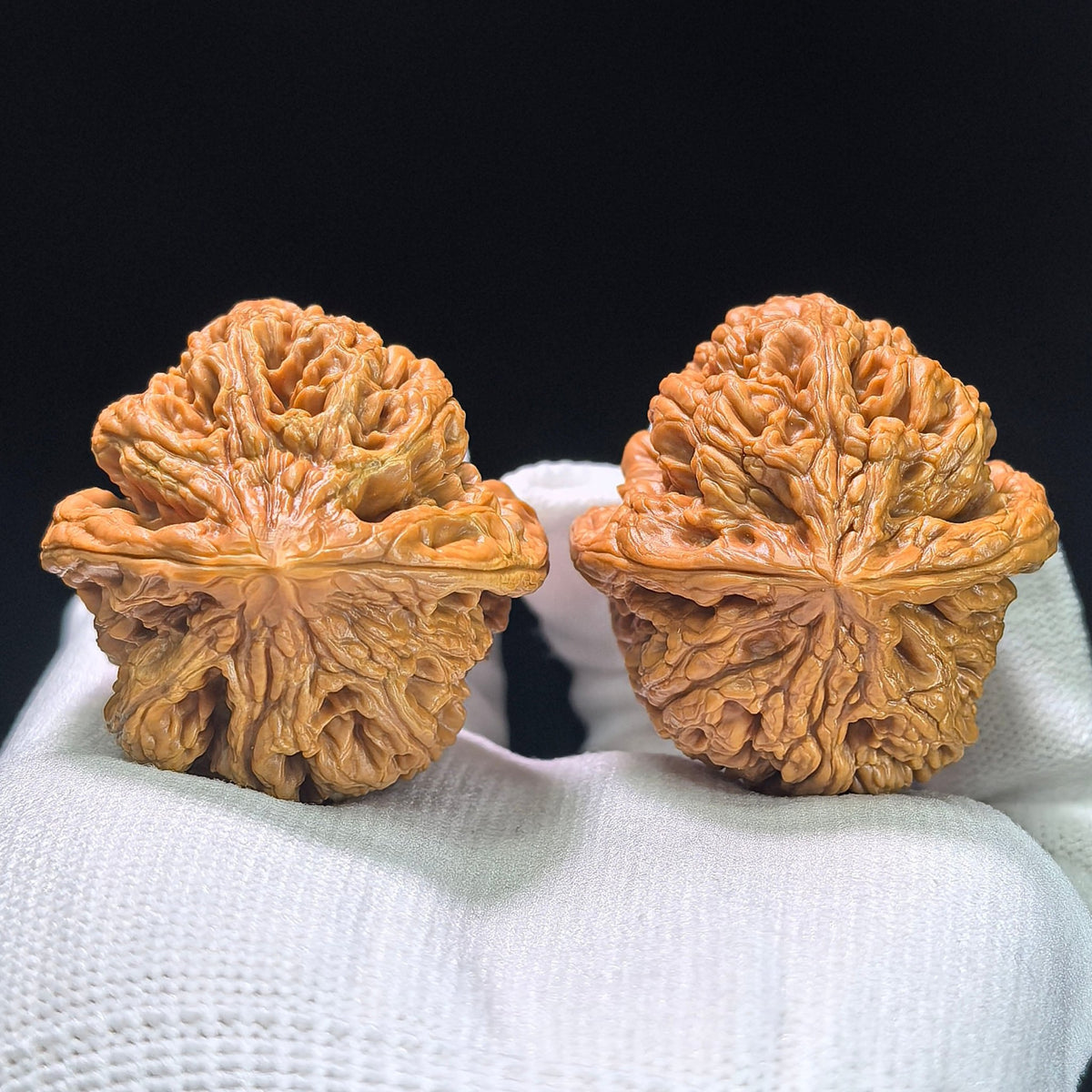 The Spectacular "Thick Ridge" Cujin Lion Head Masterpiece | 39.0mm x 42.0mm | CJ-1402 - ThePatinaProject
