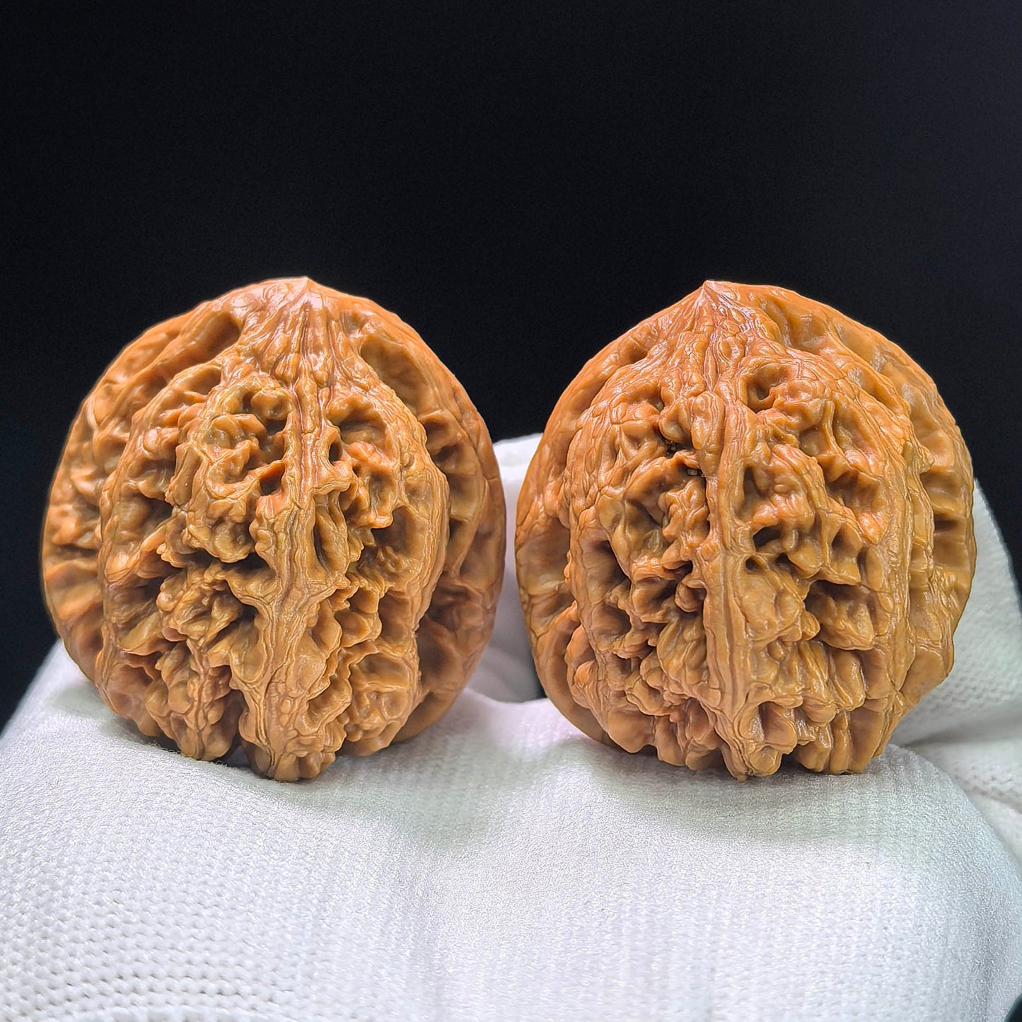 The Spectacular "Thick Ridge" Cujin Lion Head Masterpiece | 39.0mm x 42.0mm | CJ-1402 - ThePatinaProject