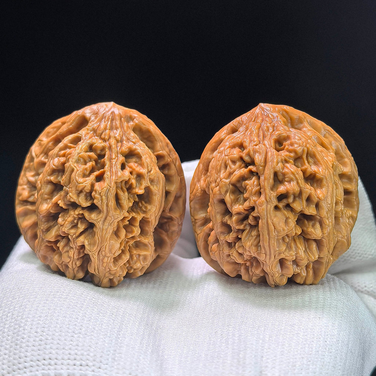 The Spectacular "Thick Ridge" Cujin Lion Head Masterpiece | 39.0mm x 42.0mm | CJ-1402 - ThePatinaProject
