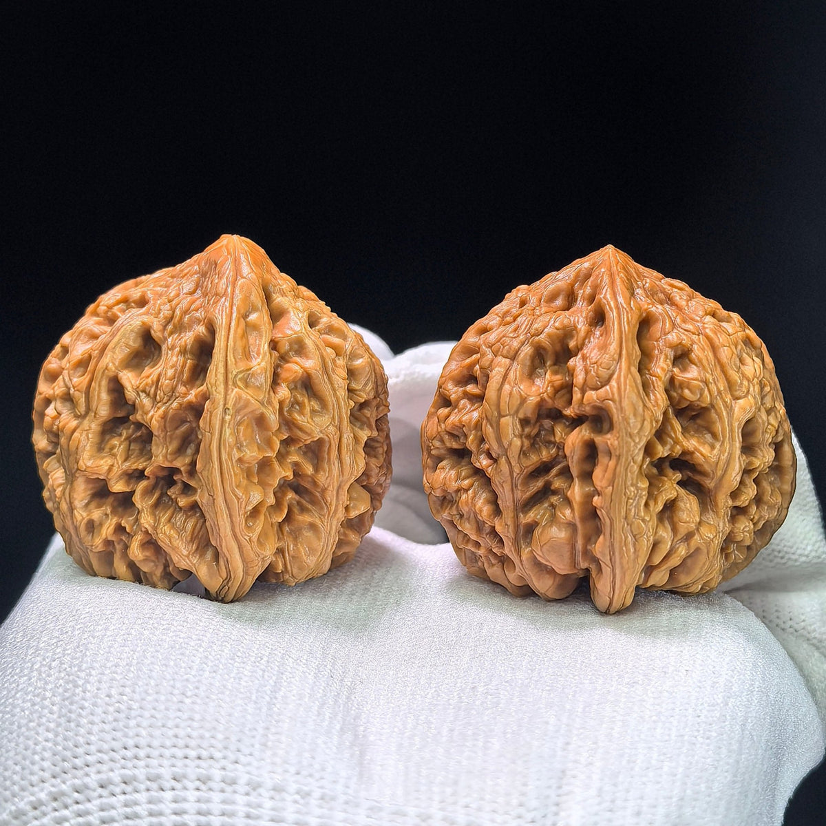 The Spectacular "Thick Ridge" Cujin Lion Head Masterpiece | 39.0mm x 42.0mm | CJ-1402 - ThePatinaProject