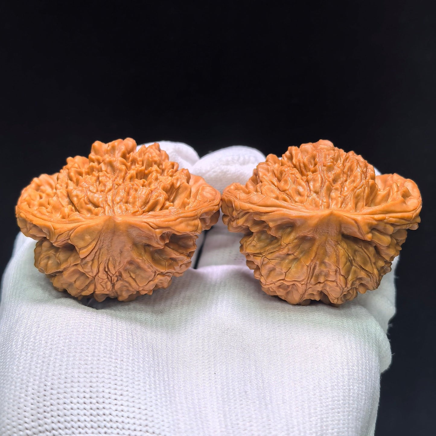 The Spectacular "Treasure Bowl Viper" Jubaopen Wanshe Masterpiece | 48.0mm x 38.0mm | JBPWS-1401E - ThePatinaProject