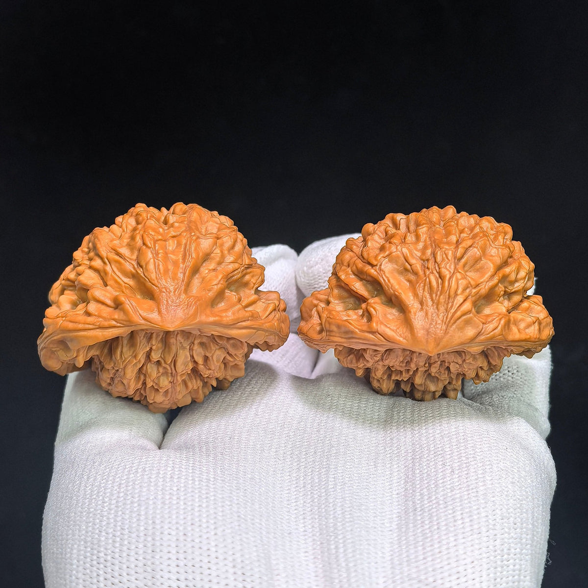 The Spectacular "Treasure Bowl Viper" Jubaopen Wanshe Masterpiece | 48.0mm x 38.0mm | JBPWS-1401E - ThePatinaProject