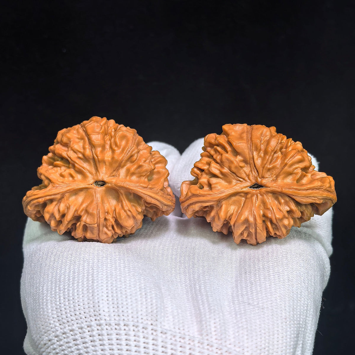 The Spectacular "Treasure Bowl Viper" Jubaopen Wanshe Masterpiece | 48.0mm x 38.0mm | JBPWS-1401E - ThePatinaProject