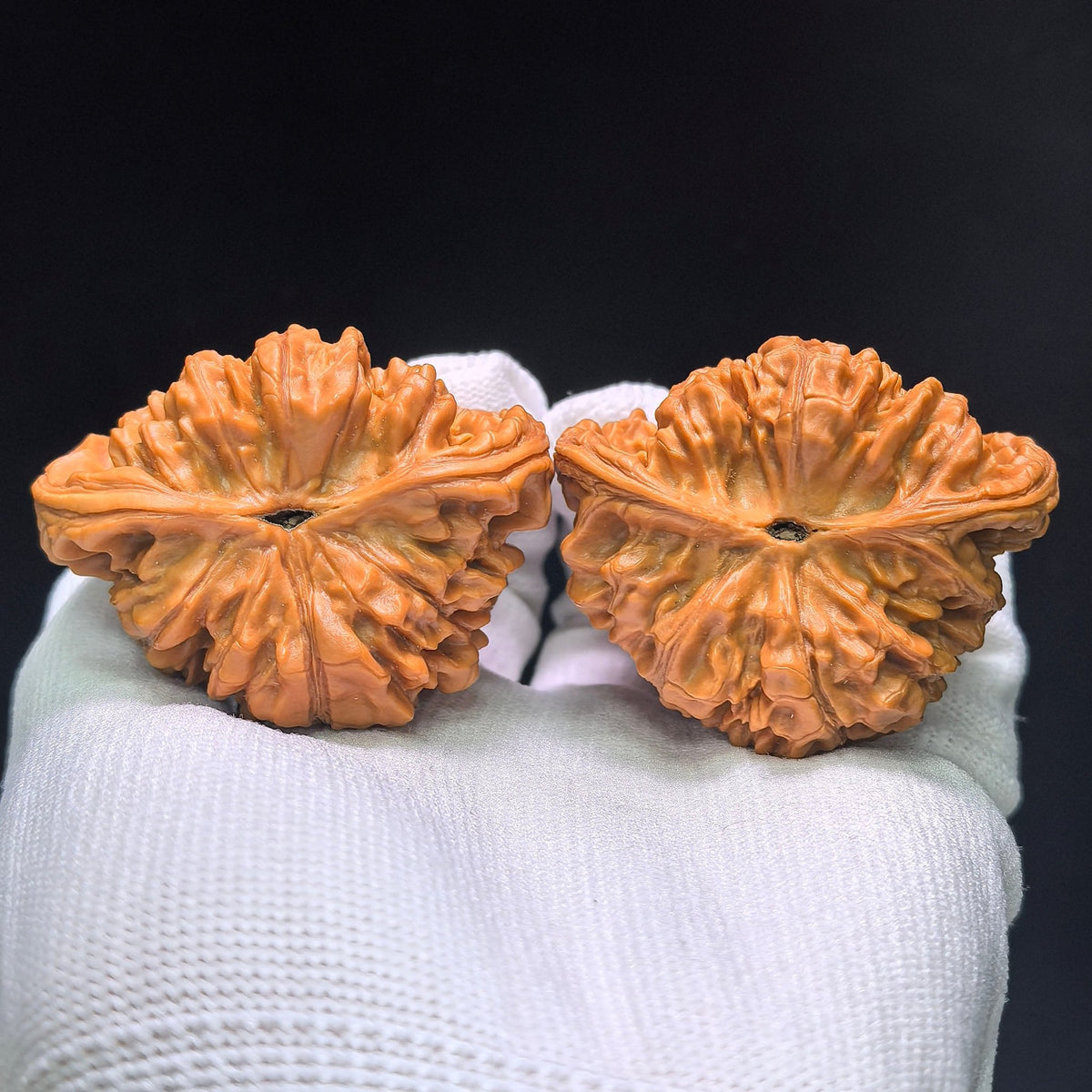 The Spectacular "Treasure Bowl Viper" Jubaopen Wanshe Masterpiece | 48.0mm x 38.0mm | JBPWS-1401E - ThePatinaProject