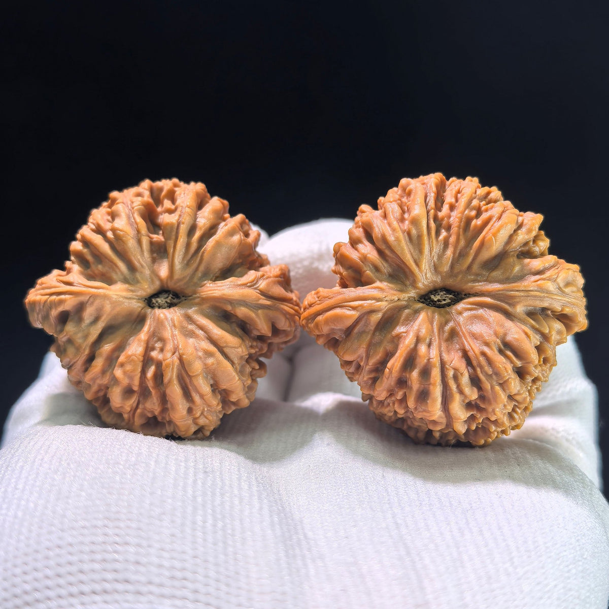 The Spherical "Concave Base" Nanjiangstone Masterpiece | 42.0mm x 41.0mm | NJS-1211C - ThePatinaProject