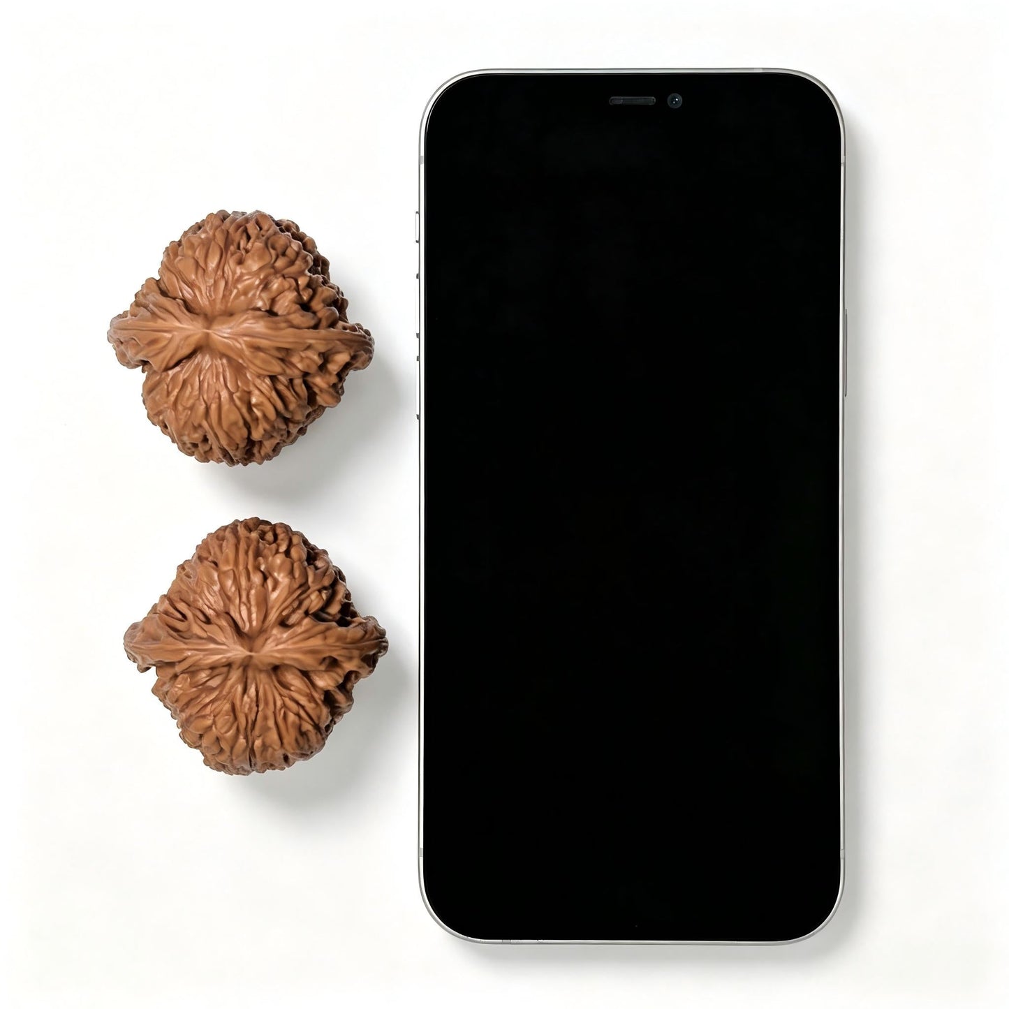 The Spherical "Concave Base" Nanjiangstone Masterpiece | 43.0mm x 42.0mm | NJS-1208C - ThePatinaProject